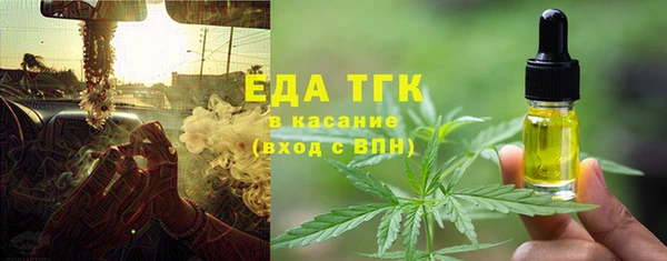 стаф Новозыбков
