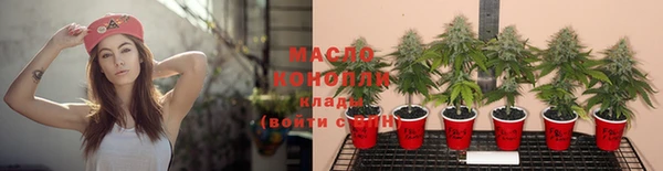 стаф Новозыбков