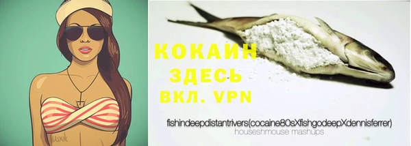 стаф Новозыбков