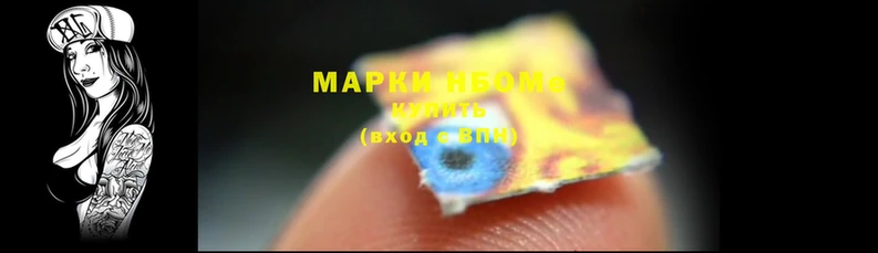 стаф Новозыбков