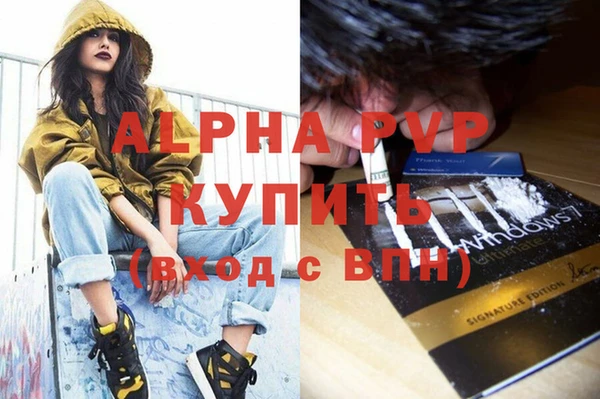 стаф Новозыбков