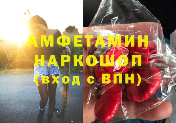 стаф Новозыбков