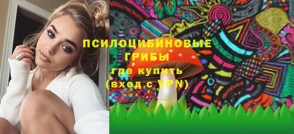 PSILOCYBIN Новодвинск