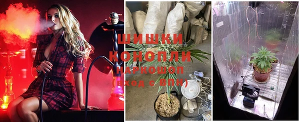 PSILOCYBIN Новодвинск