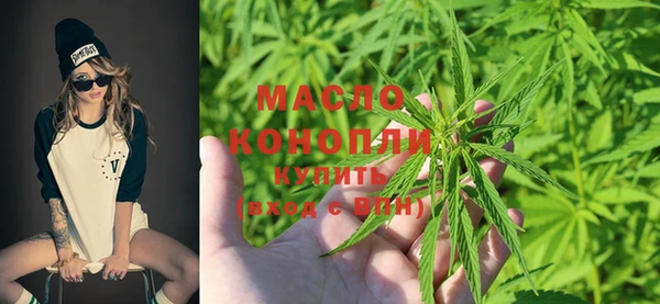 стаф Новозыбков
