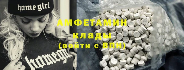 PSILOCYBIN Новодвинск