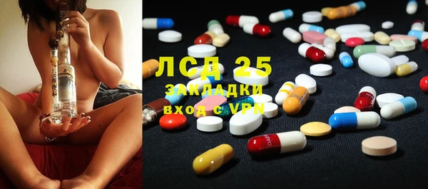 PSILOCYBIN Новодвинск